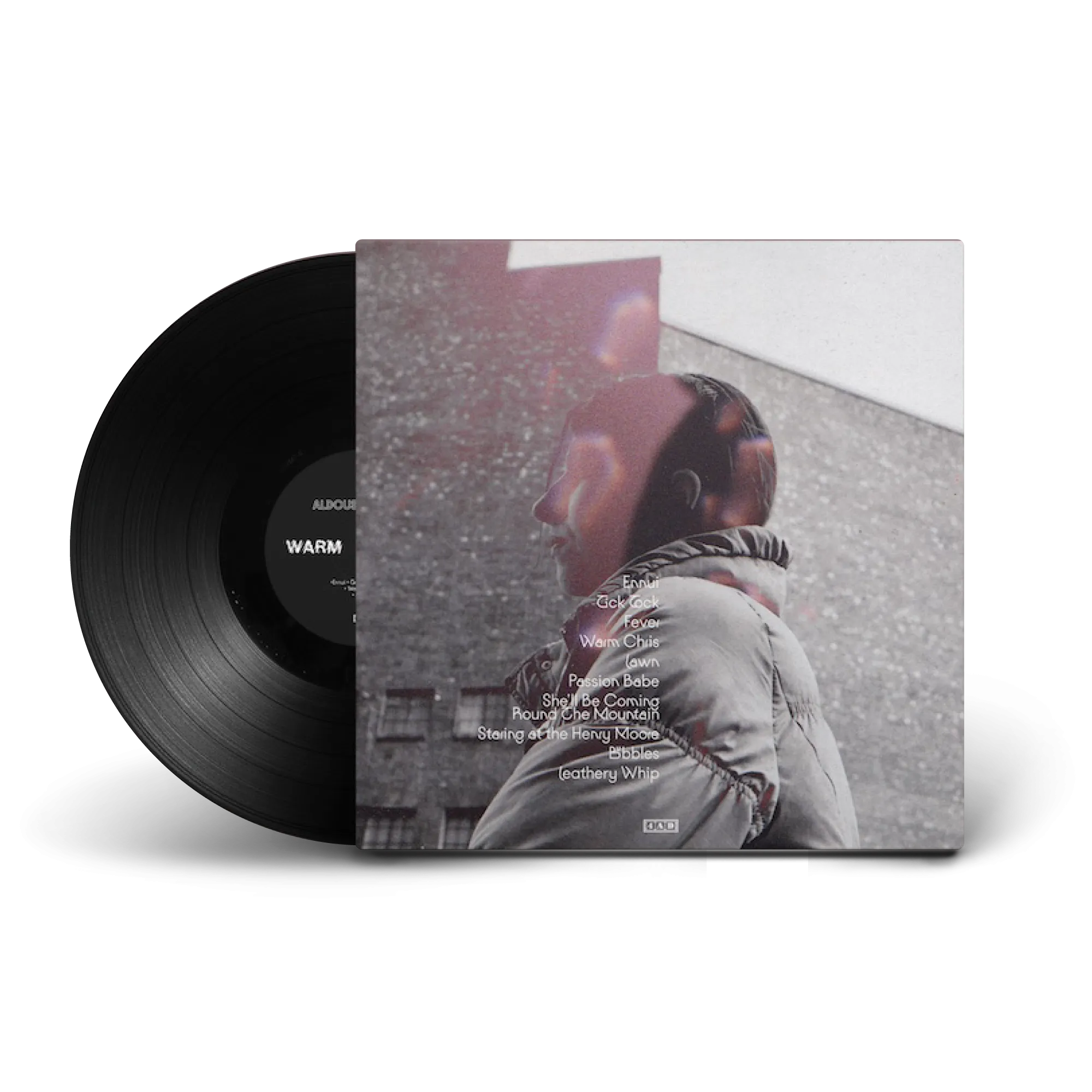 Aldous Harding / Warm Chris LP Vinyl