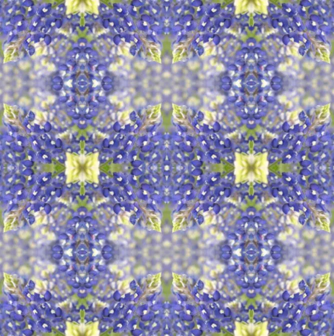 Bluebonnet Collection No. 2 - Decorative Pillow Cover