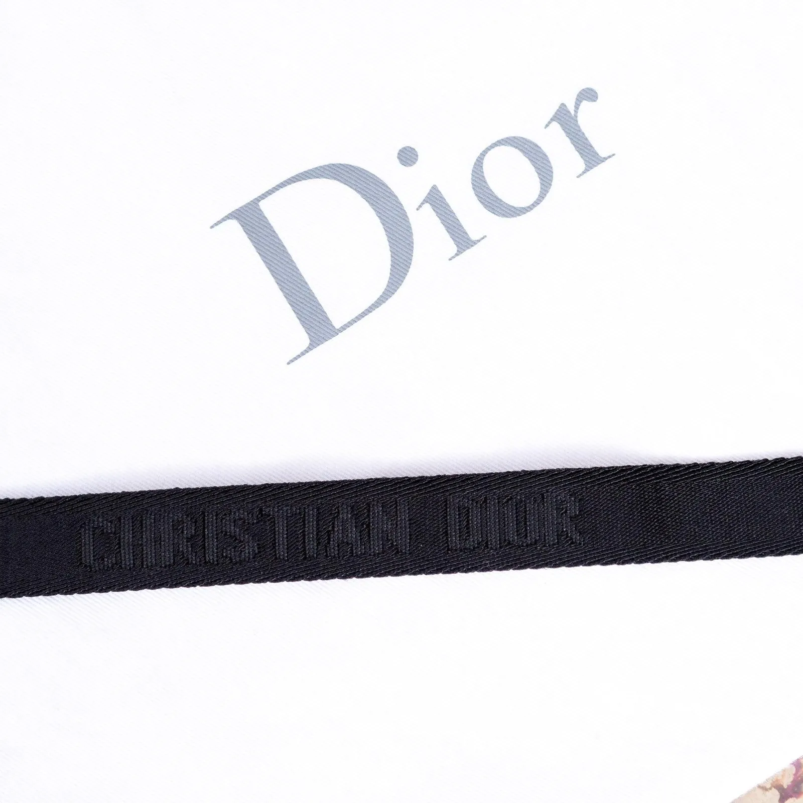 Christian Dior Matte Black Saddle Belt Bag