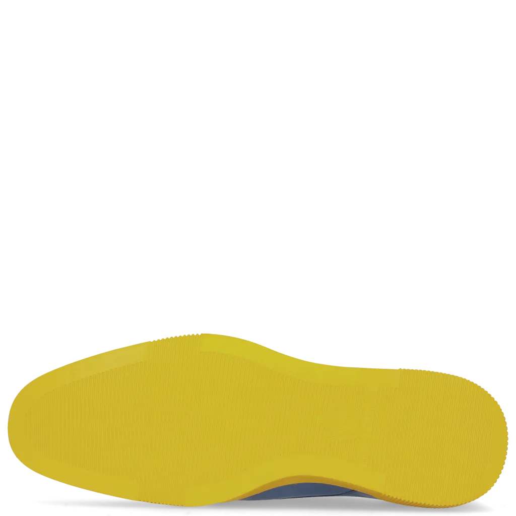 Newton 1